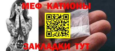 прущие грибы Гатчина