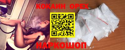прущие грибы Гатчина
