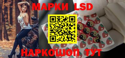 прущие грибы Гатчина
