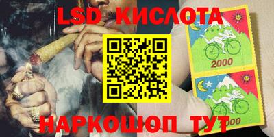 прущие грибы Гатчина