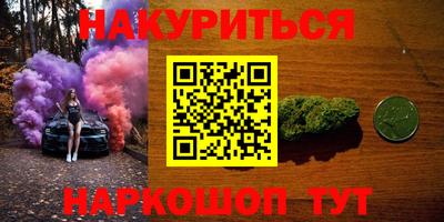 прущие грибы Гатчина