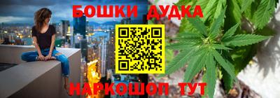 прущие грибы Гатчина