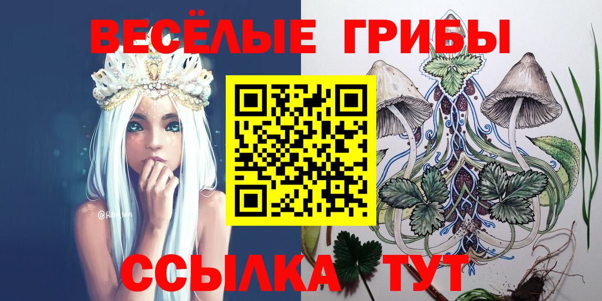 Галлюциногенные грибы Cubensis Йошкар-Ола