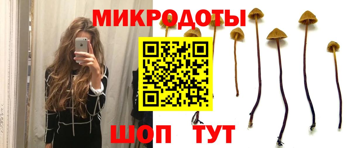 Галлюциногенные грибы Magic Shrooms  Галлюциногенные грибы прущие грибы  Йошкар-Ола  Вход с VPN 