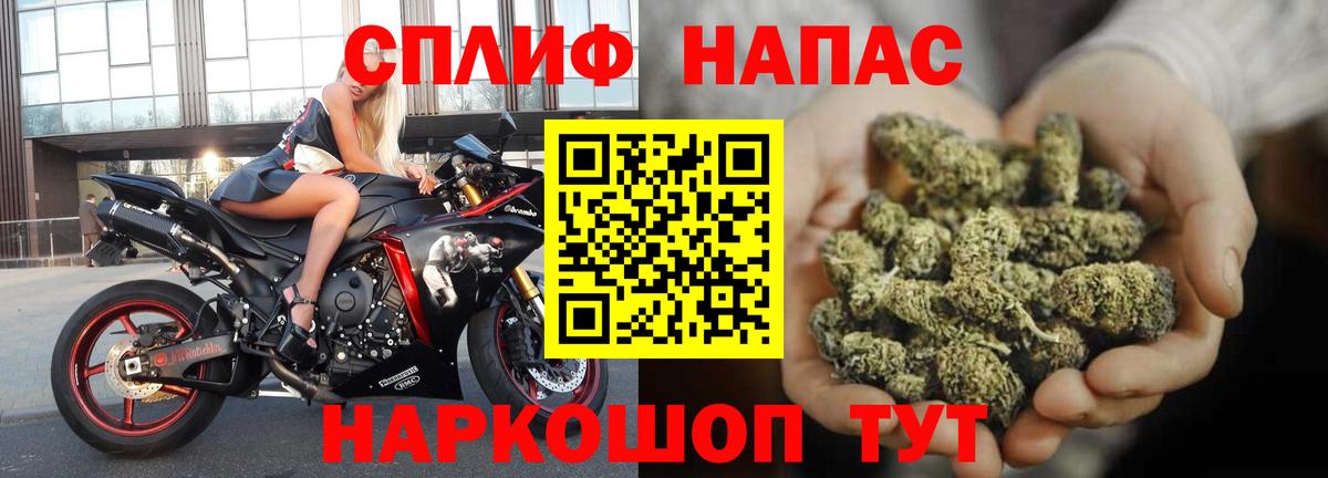 Конопля Bruce Banner  Бошки марихуана конопля  Йошкар-Ола  Бошки Шишки VHQ  Вход с VPN  Бошки Шишки SATIVA & INDICA 